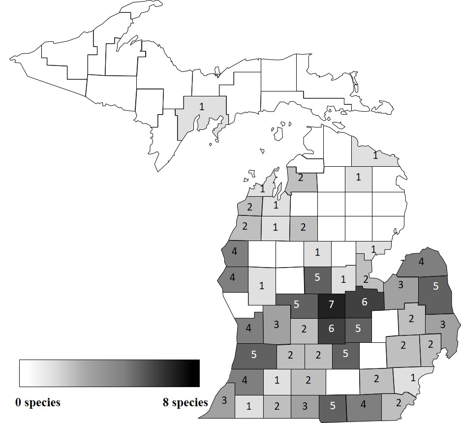 Map of Michigan