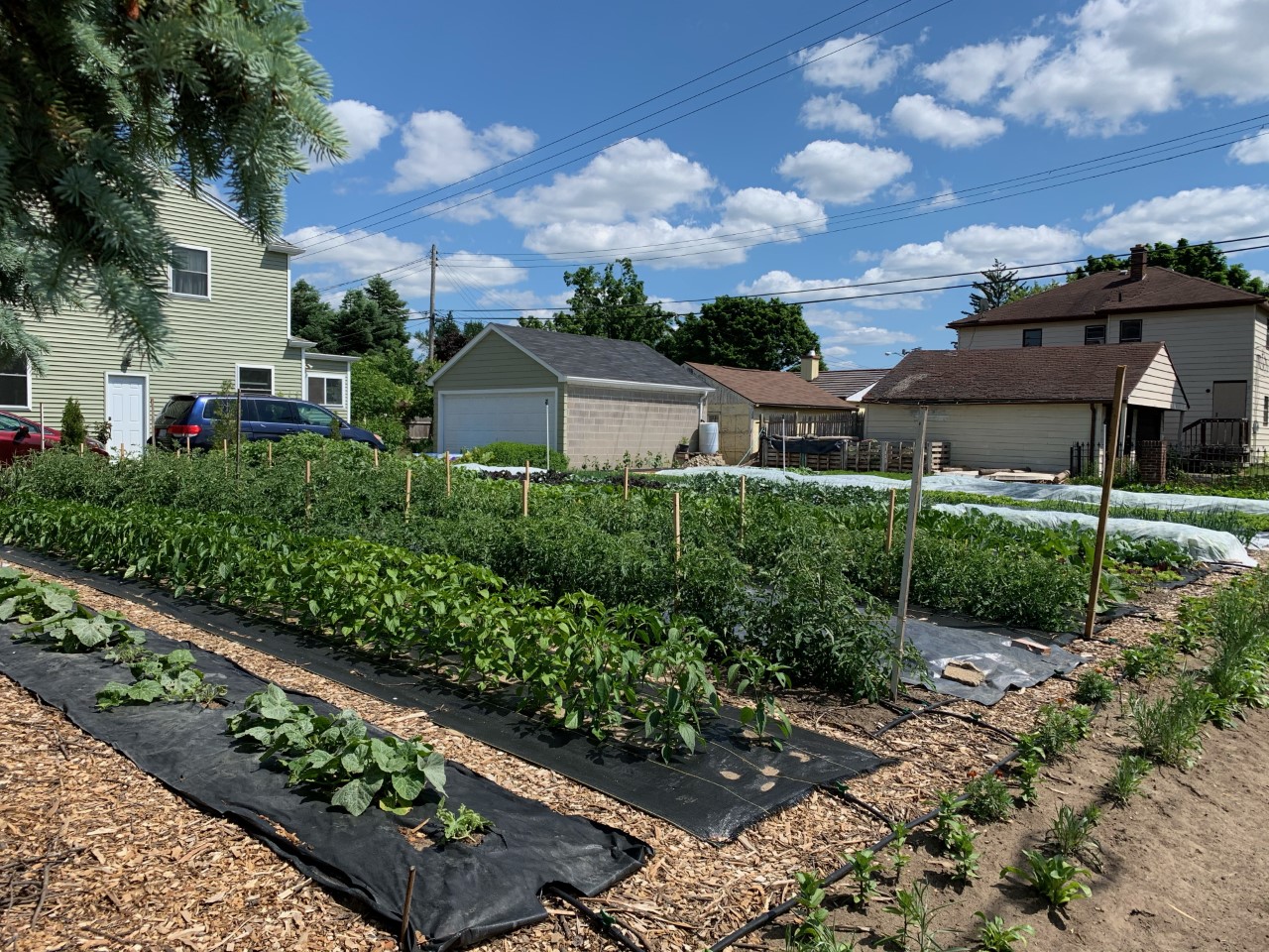 Neighborhood garden