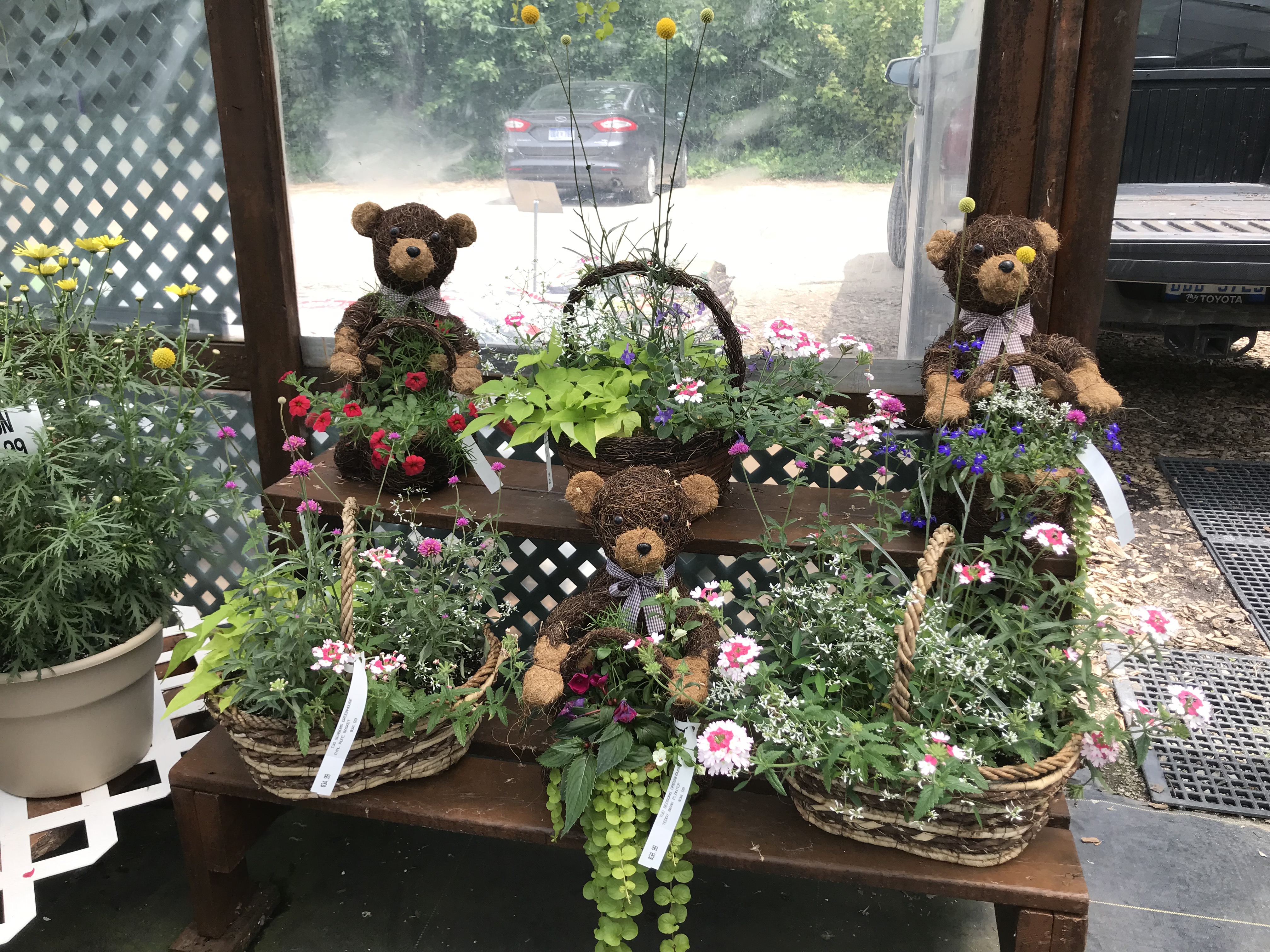 Plants and teddy bears