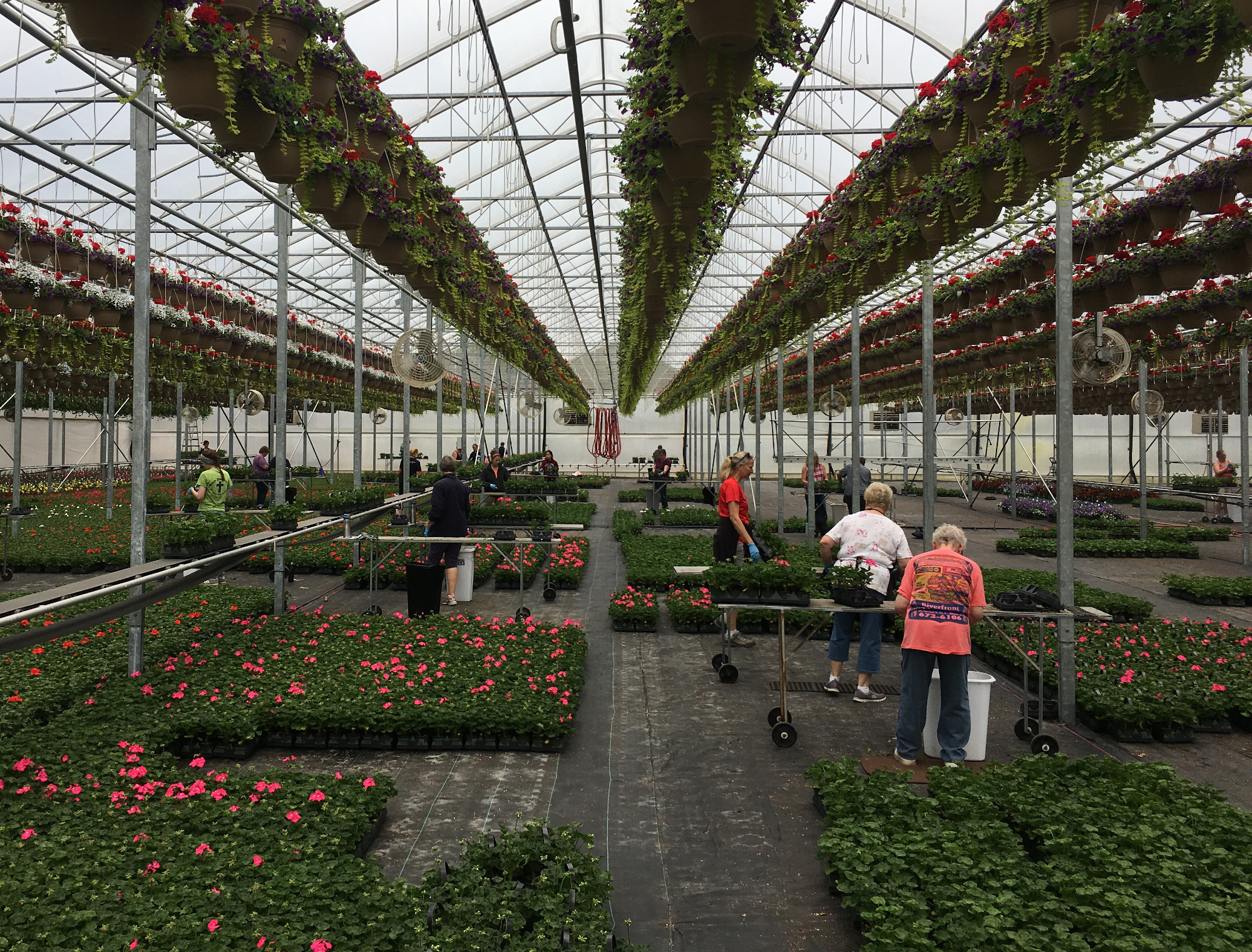Greenhouse workers