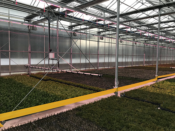 Irrigation booms