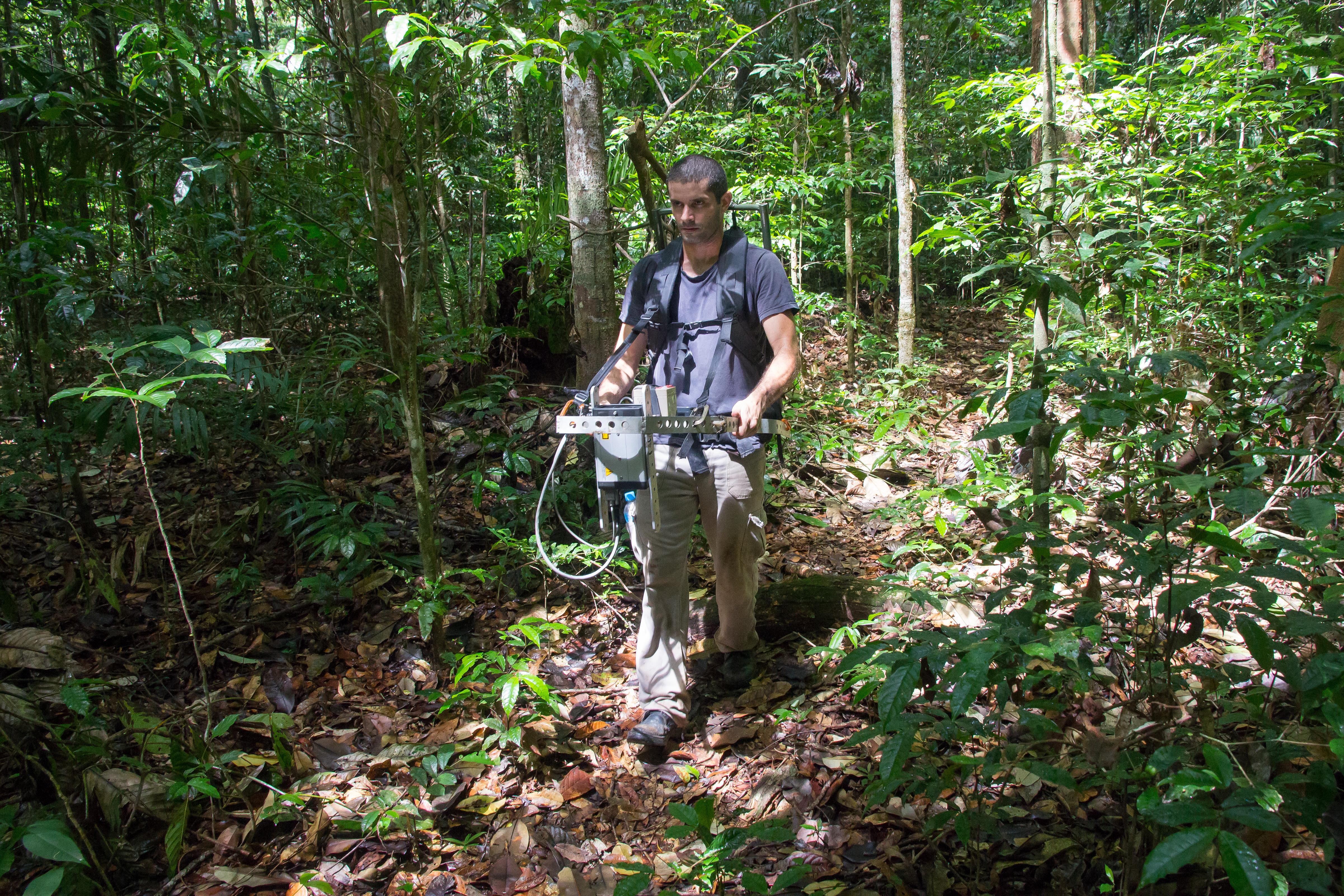 Darlisson Bentes dos Santos uses a portable lidar instrument to collect information on forest vertical structure at the Tapajós National Forest as part of a project led by Smith. Stark and Aragón are also making lidar measurements at the savanna sites near Alter do Chão. [Photo taken by Marielle N. Smith]