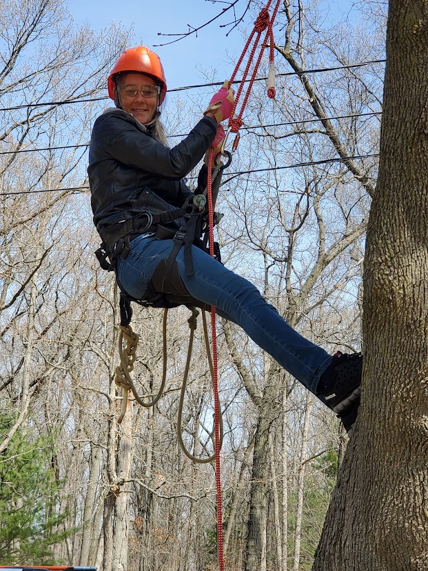 Tree Work 101: Getting Started in Arboriculture - Department of Forestry