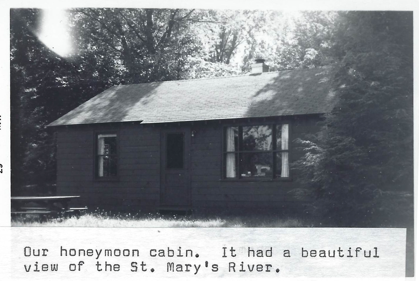 cabin at dunbar forest