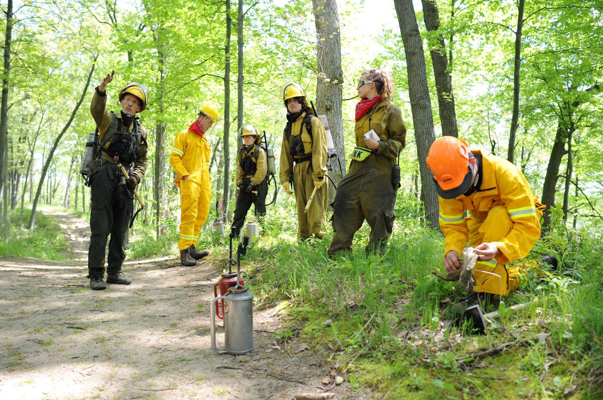Forestry-Careers-Future-Students-Forestry-Controlled-Burn