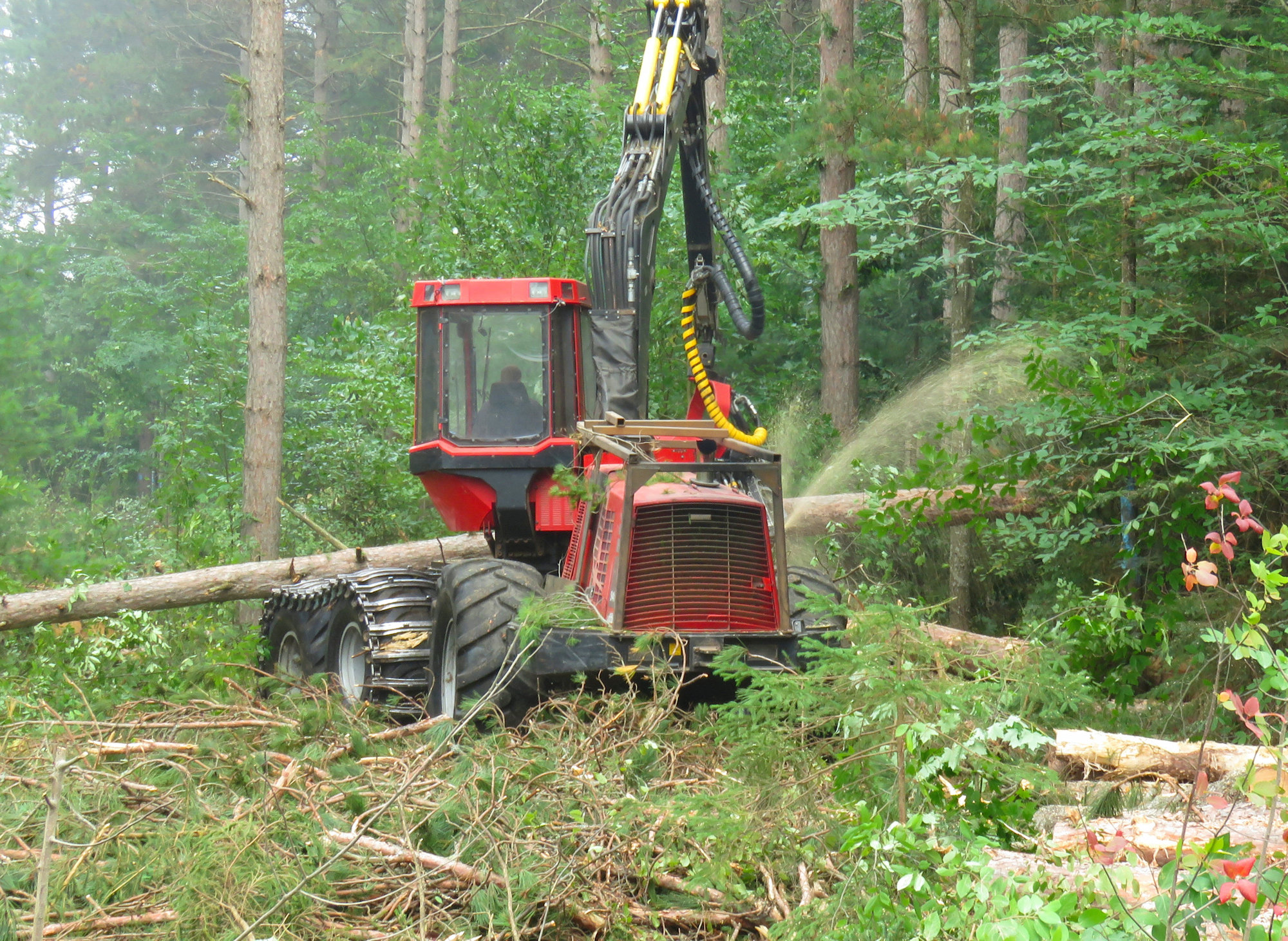 Logging7