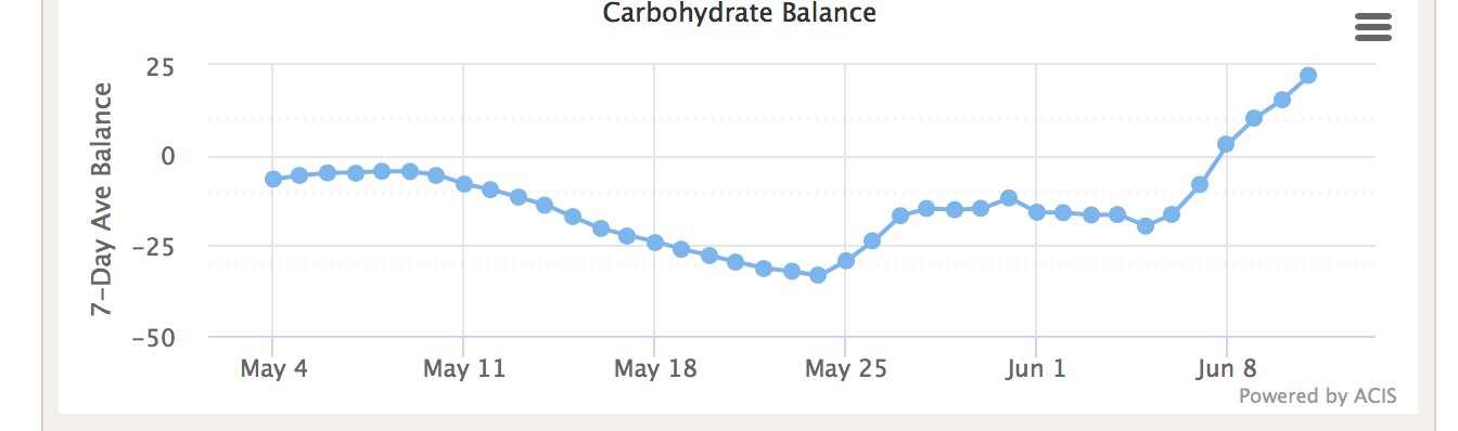 Graph of carbohydrate balance