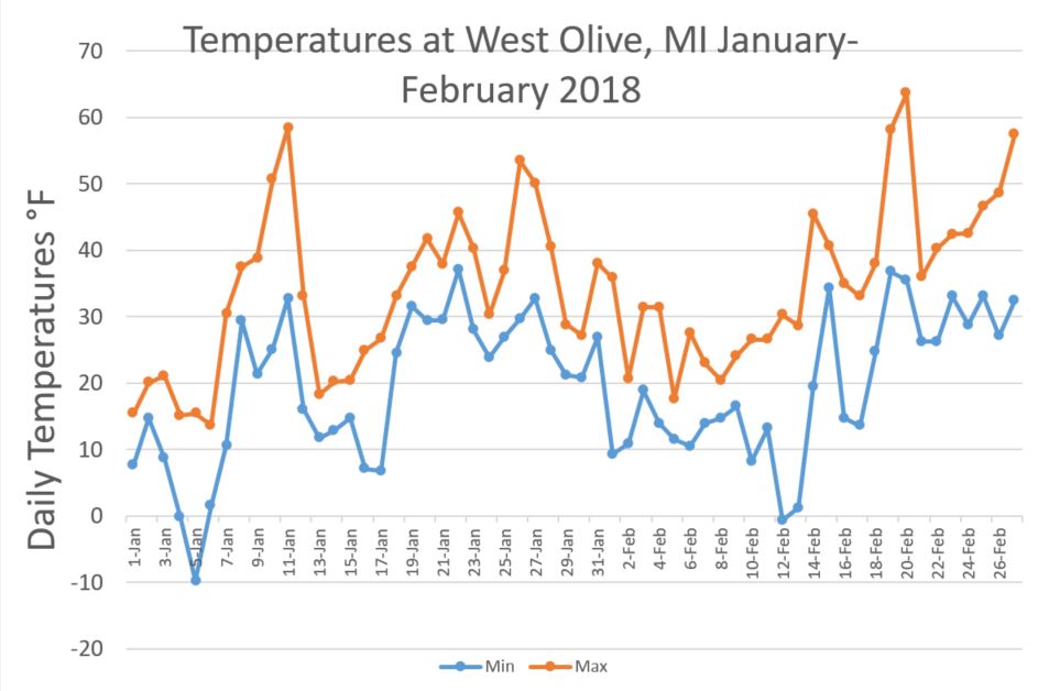 West Olive Temps Feb 2018 Graph