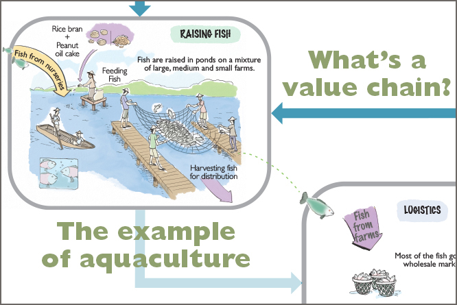 Feed management in aquaculture farm