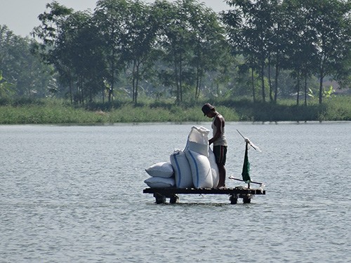 WorkerFeedingFishLargeFarm-LR