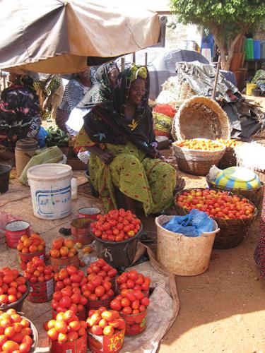 vegetable_retailing_Sikasso_Mali