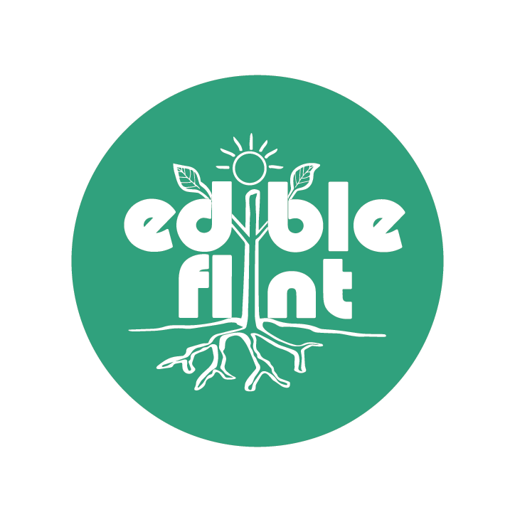 Edible_Flint_Logo