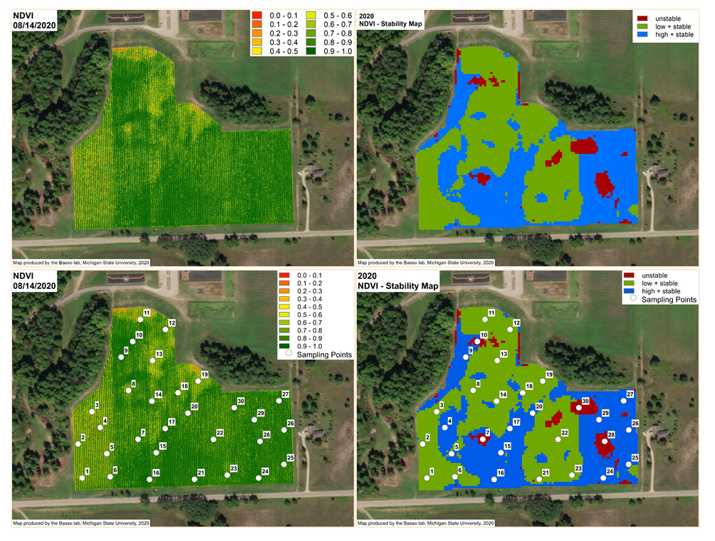 The vineyard vigor map.