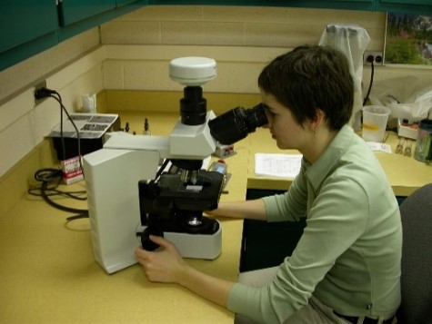 Figure 2E User Looking At Spores Microscope