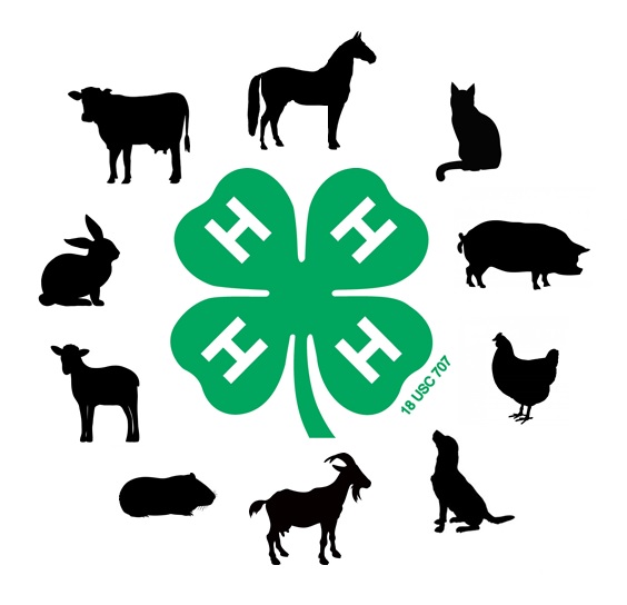 4-H+Animals+Logo