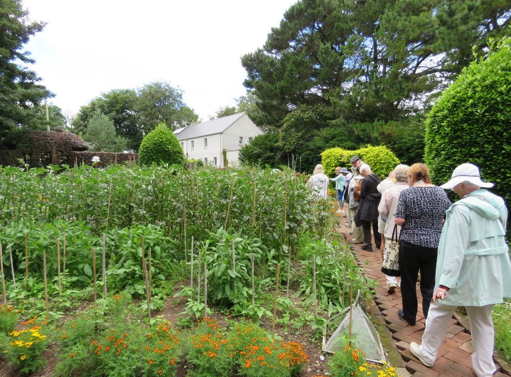 Garden.