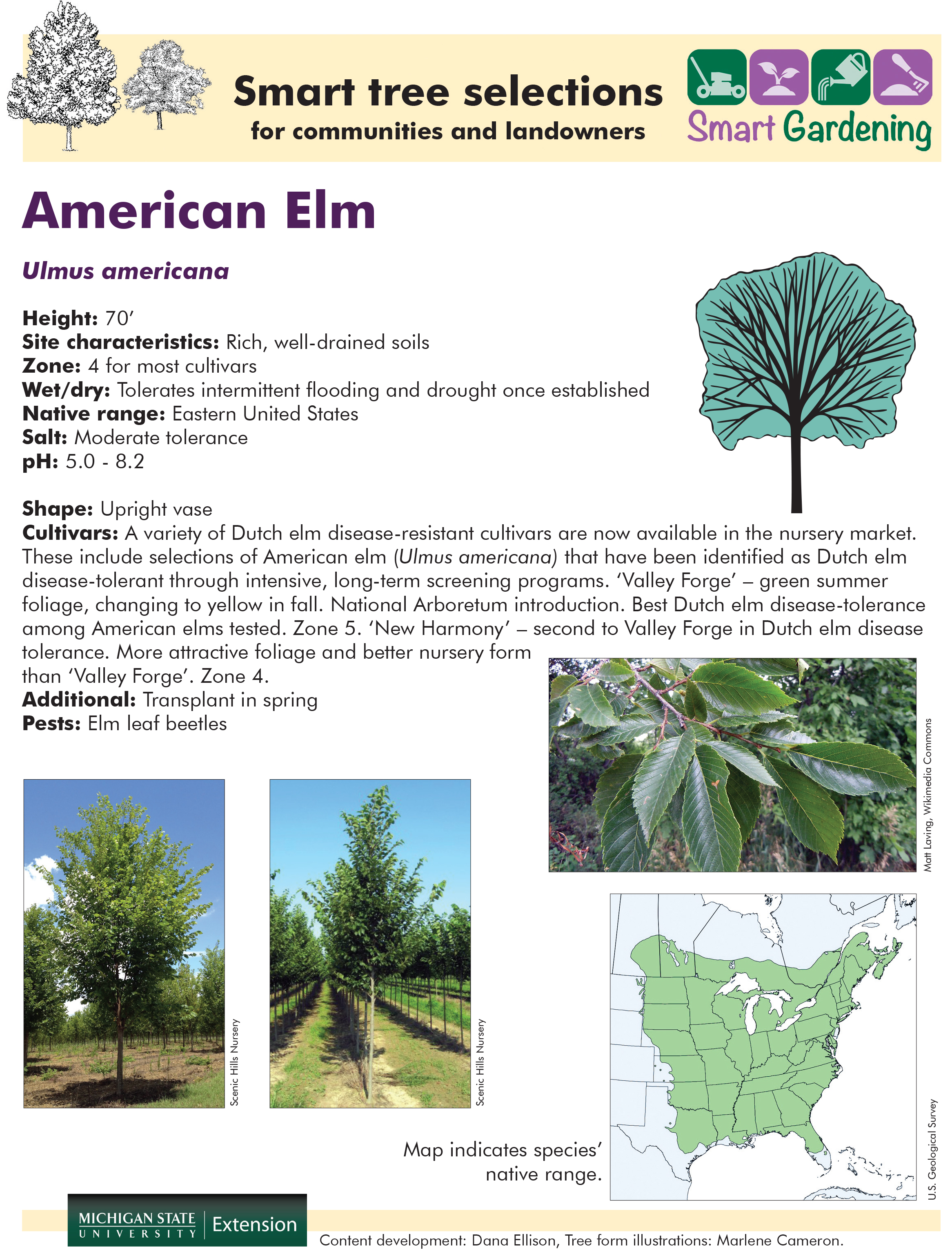 Tree tip sheet