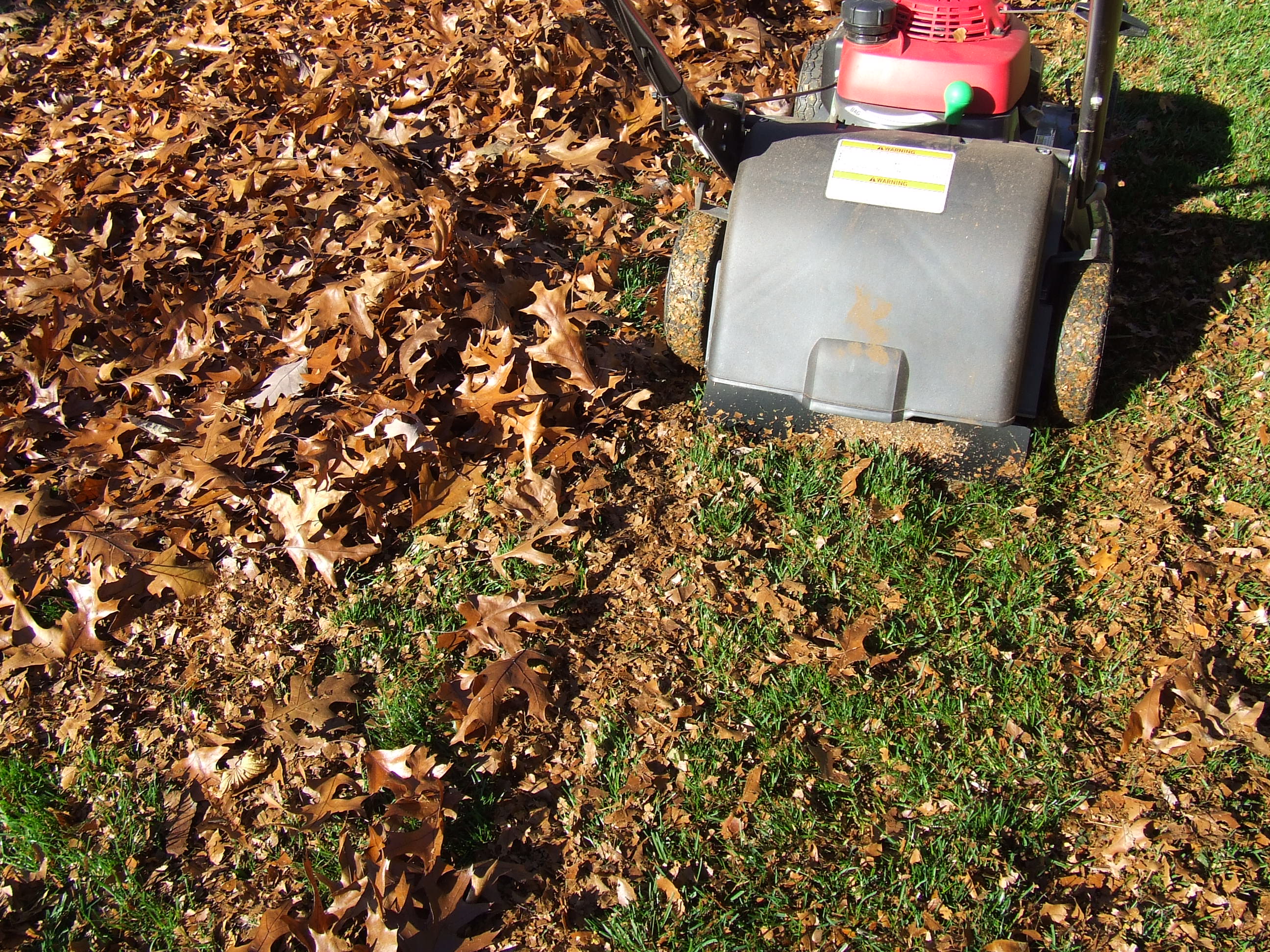 Want To Improve Your Lawn? Don't Bag Those Leaves : NPR