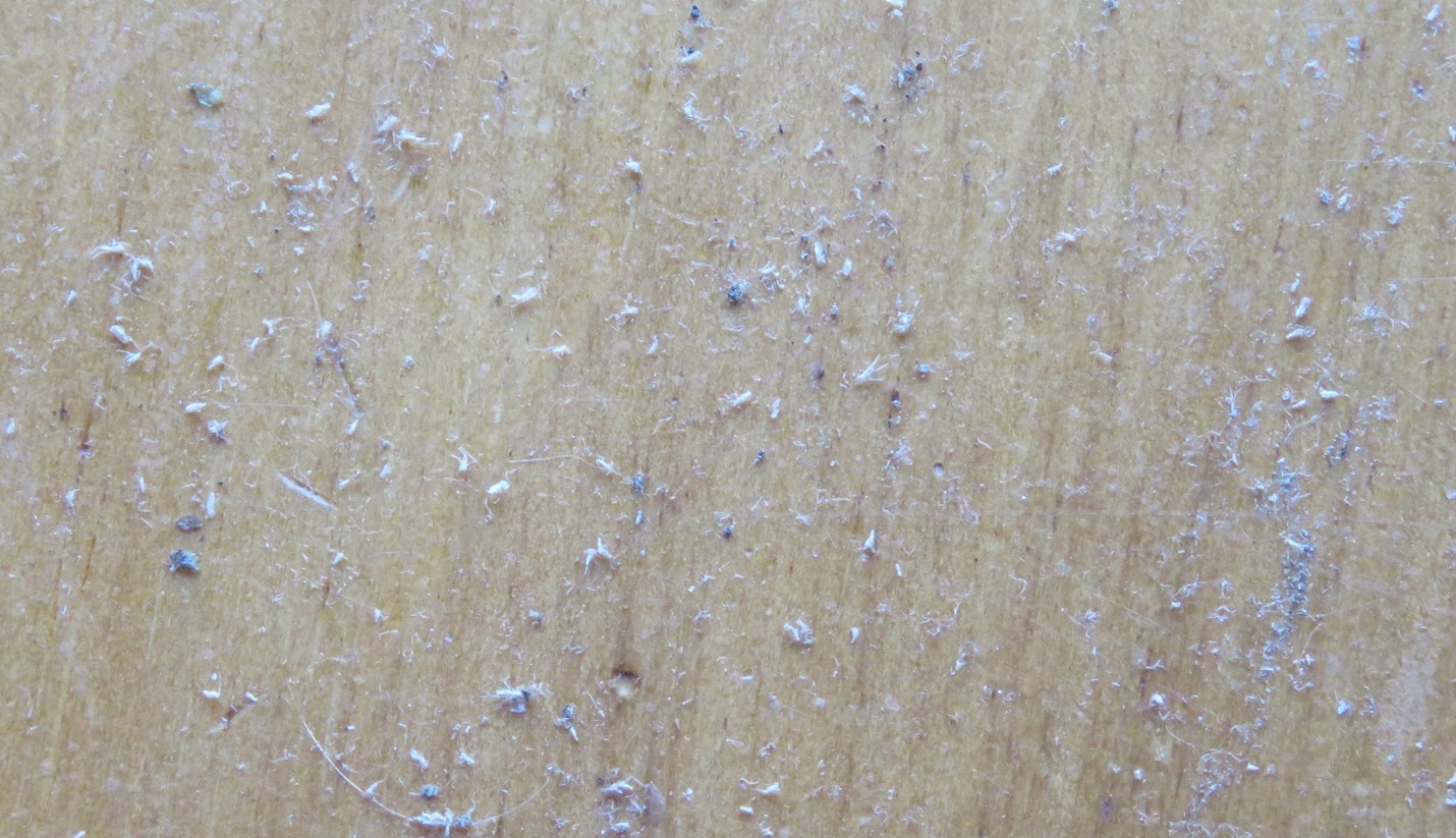 Aphid exoskeletons