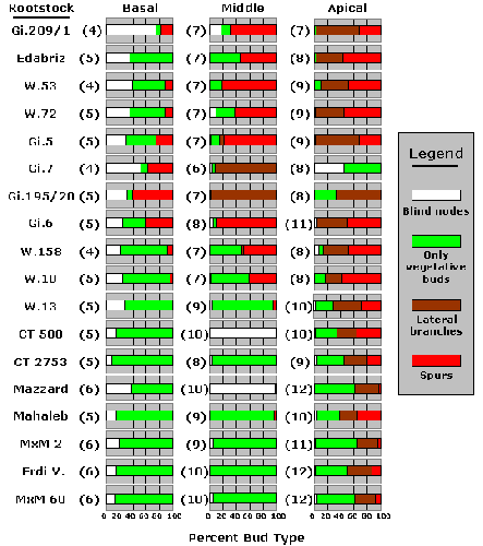 Percentage of nodes within each section (basal, middle, apical) of two-year-old sweet cherry shoots.