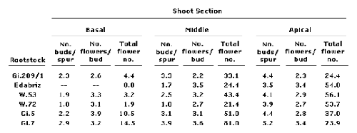 The number of flowers per bud, buds per spur, and mean number of flowers for six low vigor (dwarfing) sweet cherry rootstocks