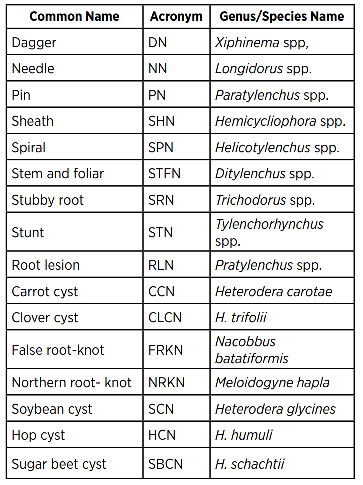 Nematodes - Soil Health Nexus