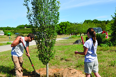 LandscapeManagement_cropped