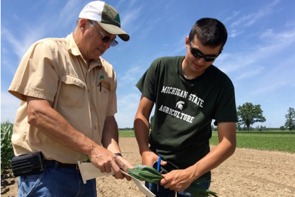 Image for IAT Agricultural Industires certificate program that picture people working in a farm field.