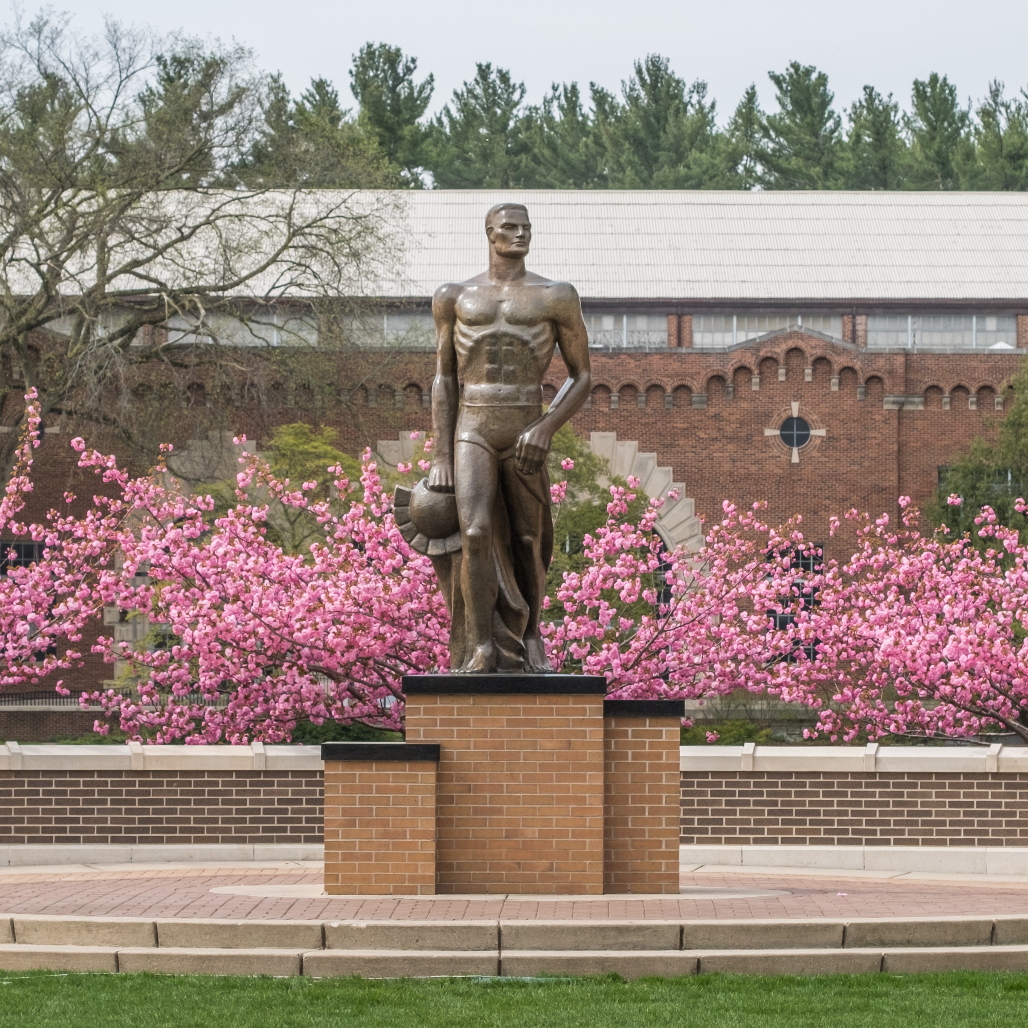 Sparty-statue-pink-flowering-trees-square