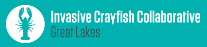 crayfishcollab logo