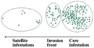 Pattern of spread