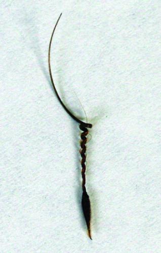 redstem filaree seed