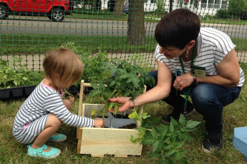 gardening-lake