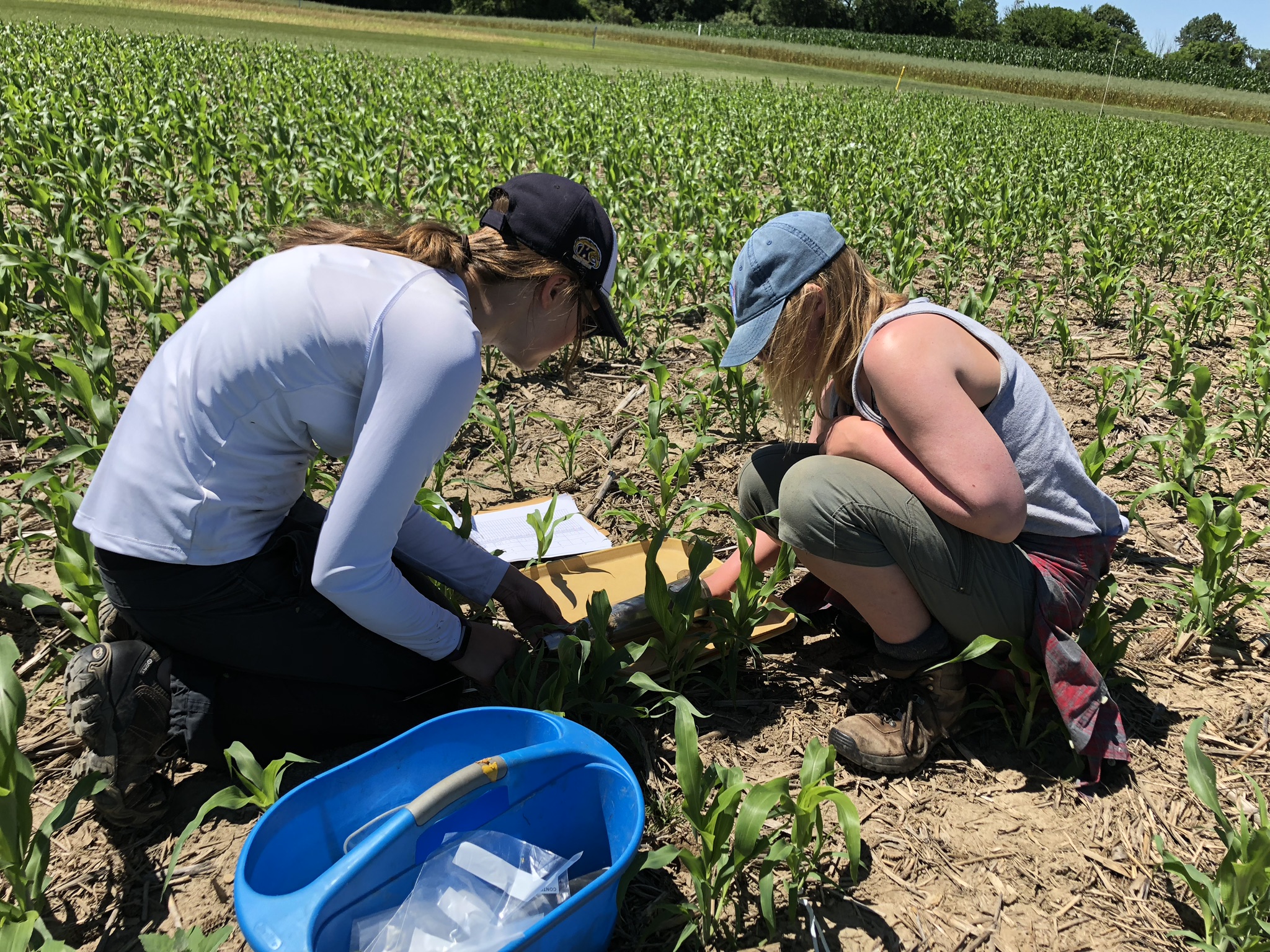 Two people crouch in field to collect soil samples on a summers day