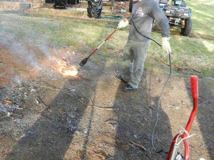 Destroying plant debris