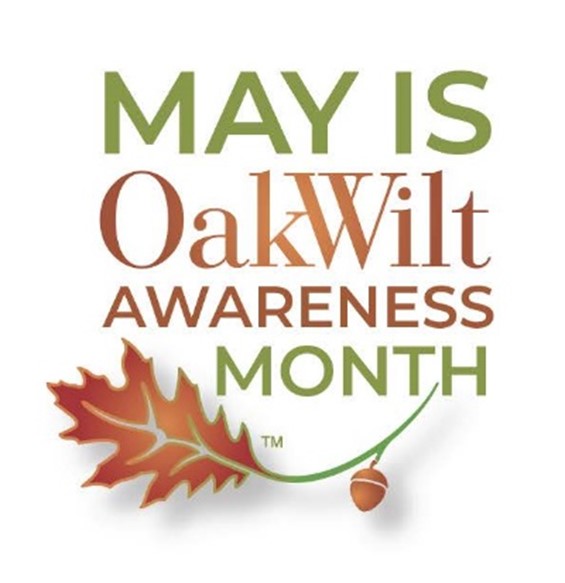 MayOakWiltAwarenessMonth