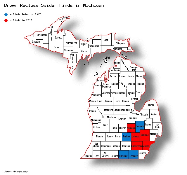 Michigan Spider Chart