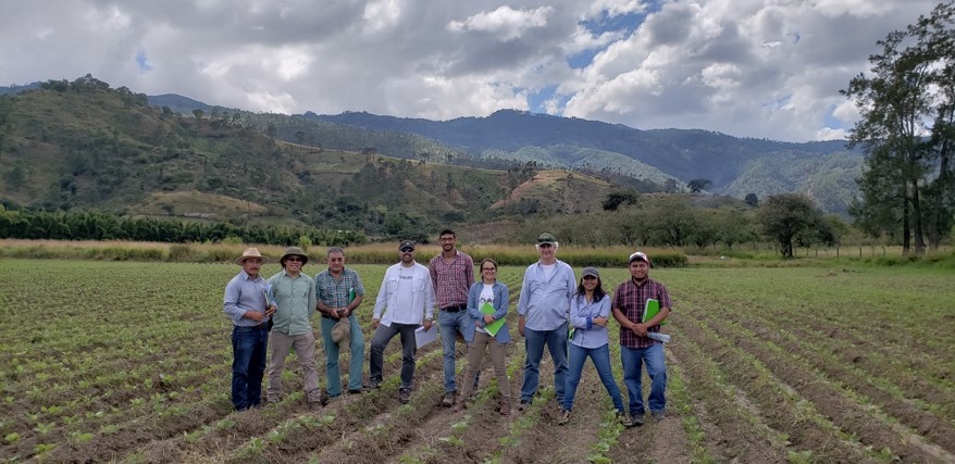 Group of people standing in a field