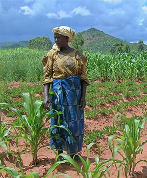 A woman standing in the field