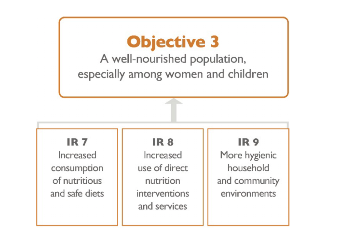 USAID FTF GFSS Objective