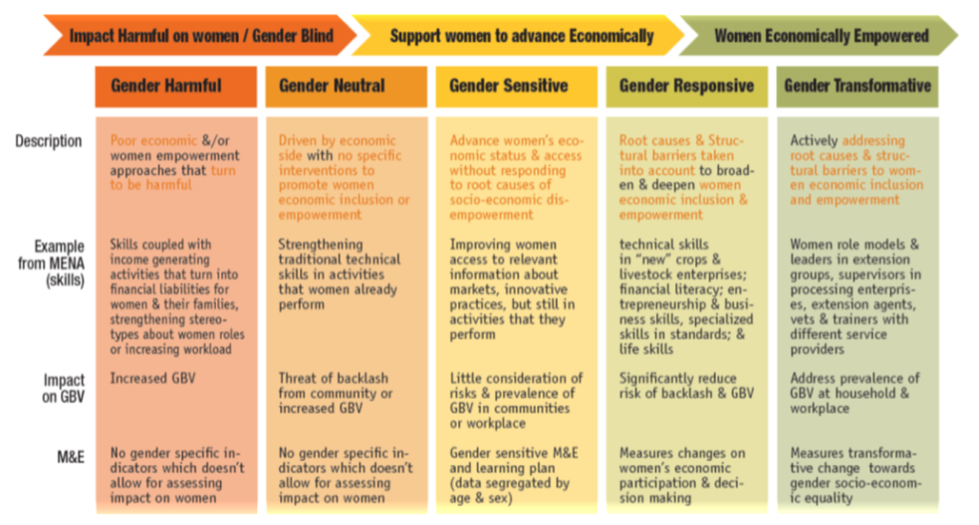 Womens Economic Empowerment Continuum chart.