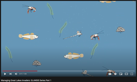 GLANSIS AIS floating in water