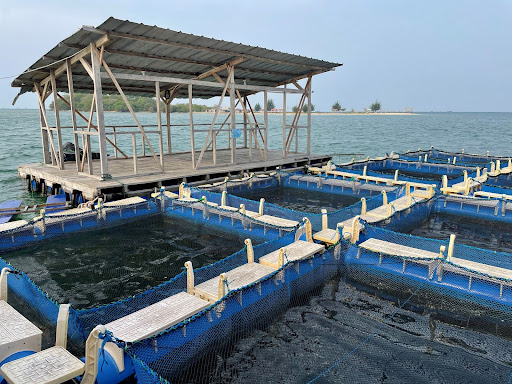 Aquaculture literacy and education provides an international