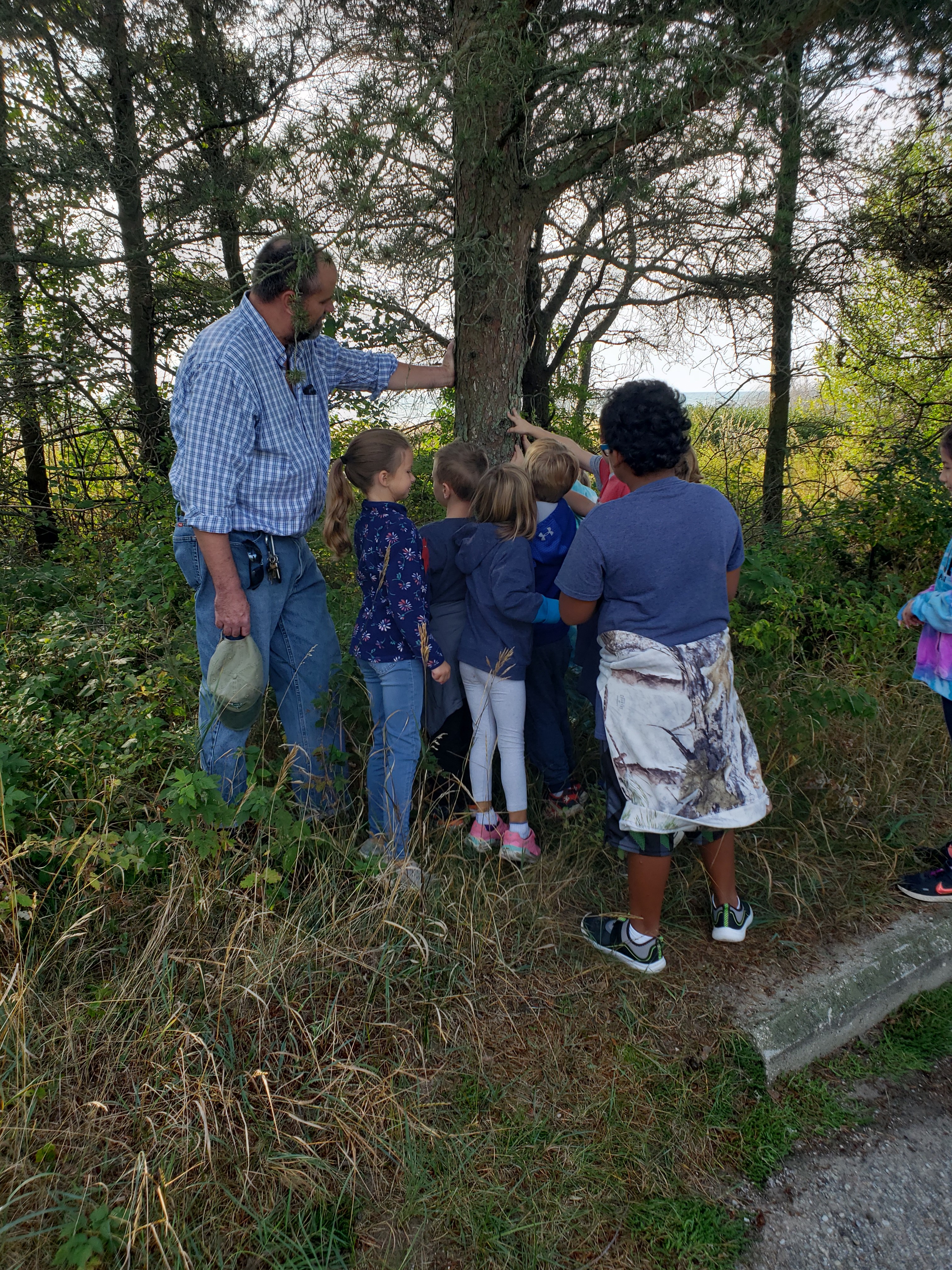 Children and a teacher are gathered around a tree.