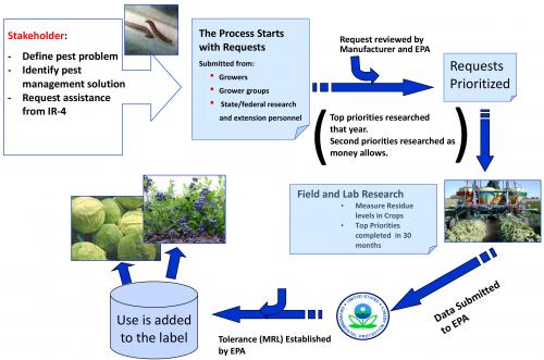 IR-4 process