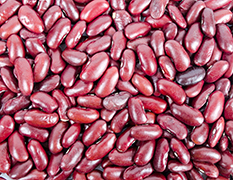 Beans
