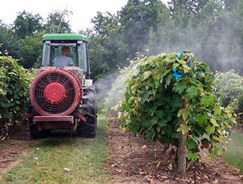 Grape sprays