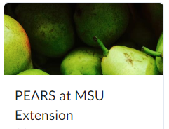 PEARS D2L Course Screenshot