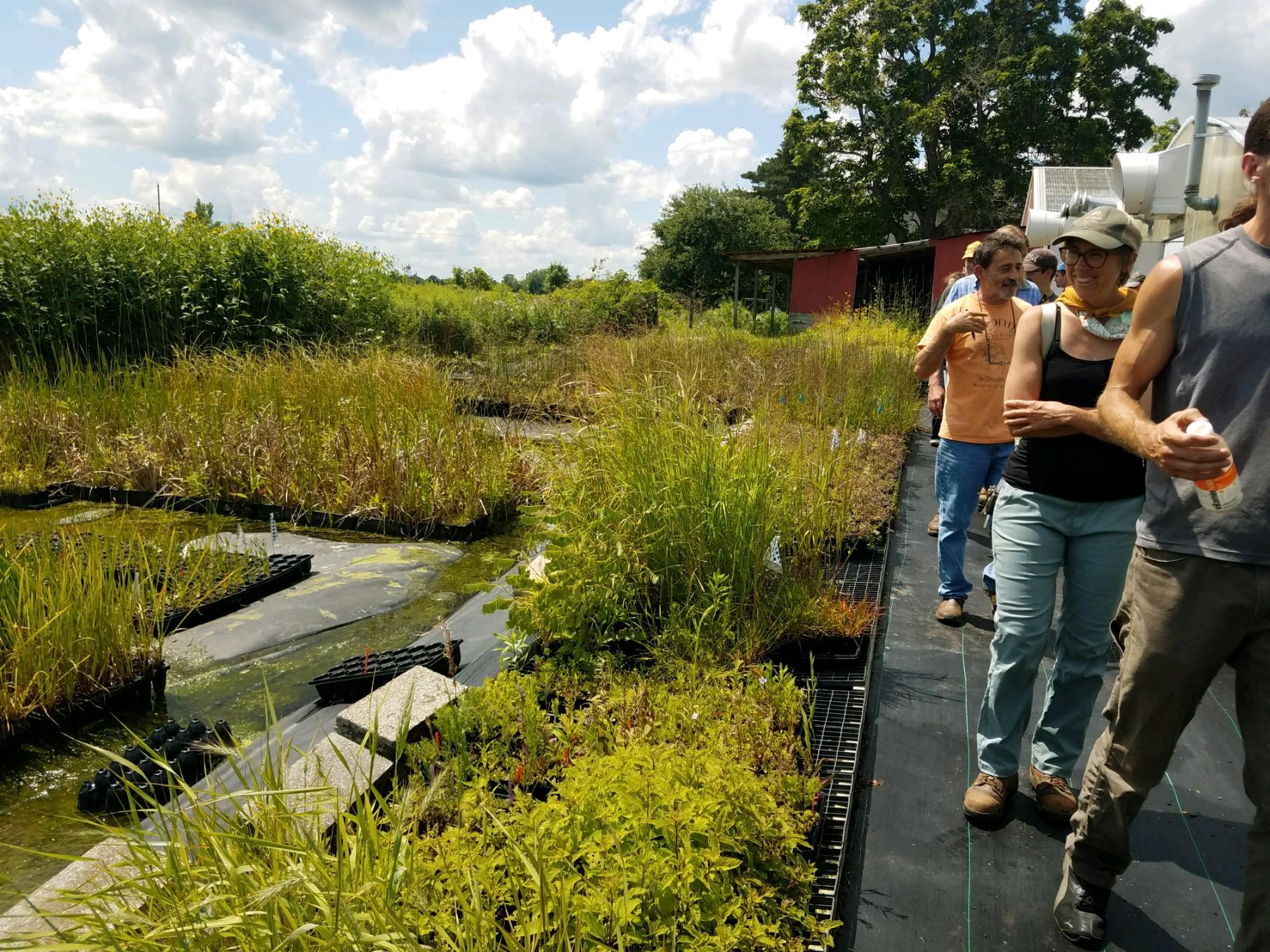 Students walk along a dug pond where wild wetland plants are being cultivated at WildType Nursery