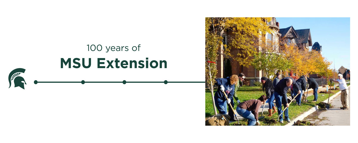 web-Greening-of-Detroit---timeline-right